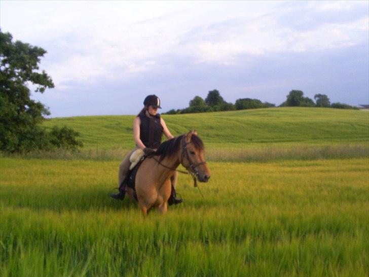 Anden særlig race Perle - Perle og jeg, juni 2011. billede 10