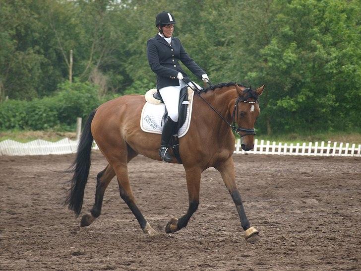 Anden særlig race Sunshine - Sunshine og Mai til stævne i Søndertoft. Juni 2011. Foto: Mig.  billede 19