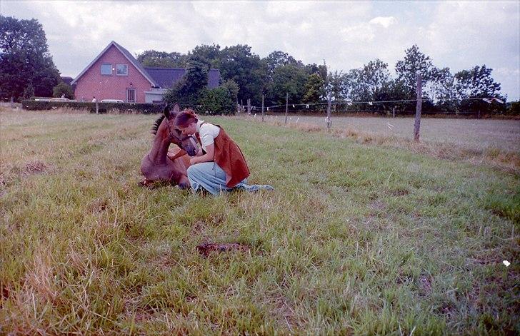 Dansk Varmblod Shaigun 13.04.93-06.02.07 - Shaigun og mig som væsentligt yngre end idag- han var omkring de 6 mdr her i 1993- mit favoritbillede... billede 11