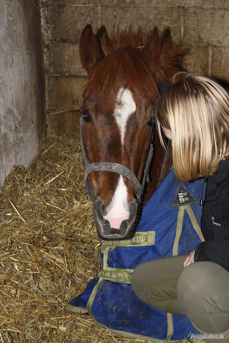 New Forest Igor - "A friend is someone who knows the song in your heart, and sings it back to you when you have forgotten the words.." billede 12