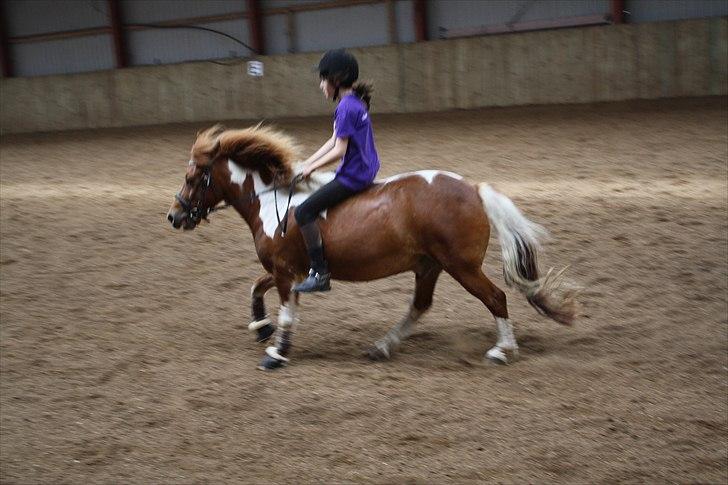 Anden særlig race Flamme *.. Bølle pony!<3 (Solgt) ;'(<3 - Flamme og jeg!:D i galop!;D Foto: Maria/søster billede 3