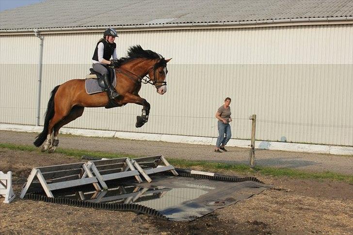 DSP Haahr's Fantasilie billede 9