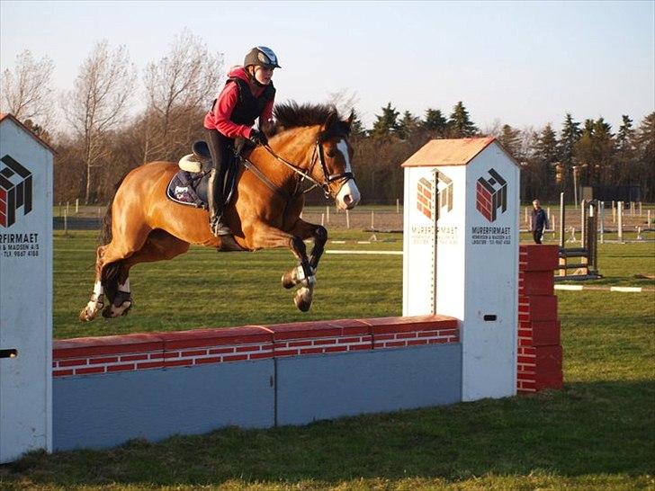 DSP Haahr's Fantasilie billede 11