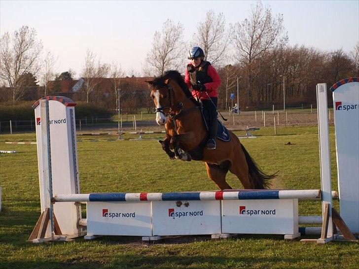 DSP Haahr's Fantasilie billede 12