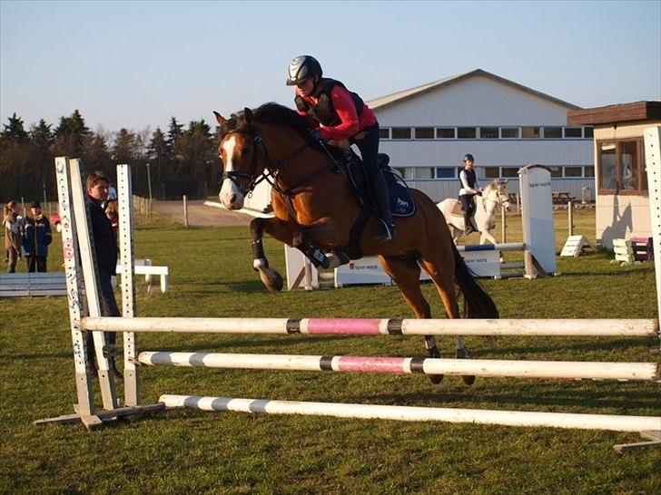 DSP Haahr's Fantasilie billede 13