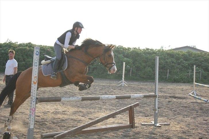 DSP Haahr's Fantasilie billede 15