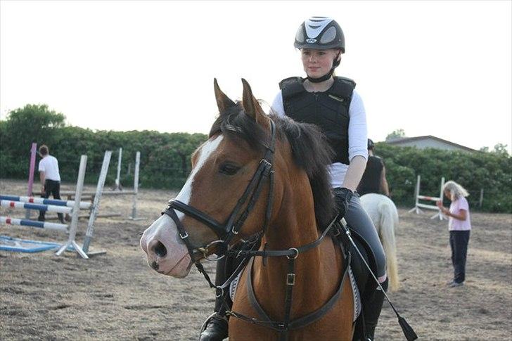 DSP Haahr's Fantasilie billede 16