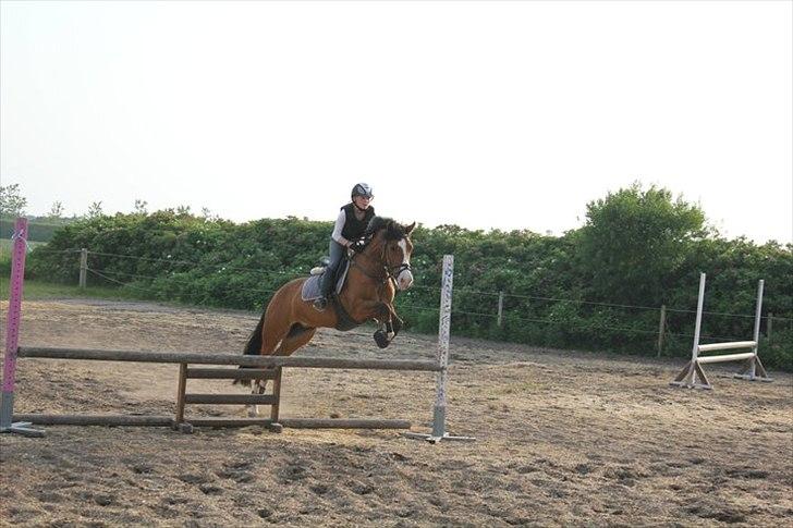 DSP Haahr's Fantasilie billede 17