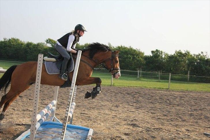 DSP Haahr's Fantasilie billede 18