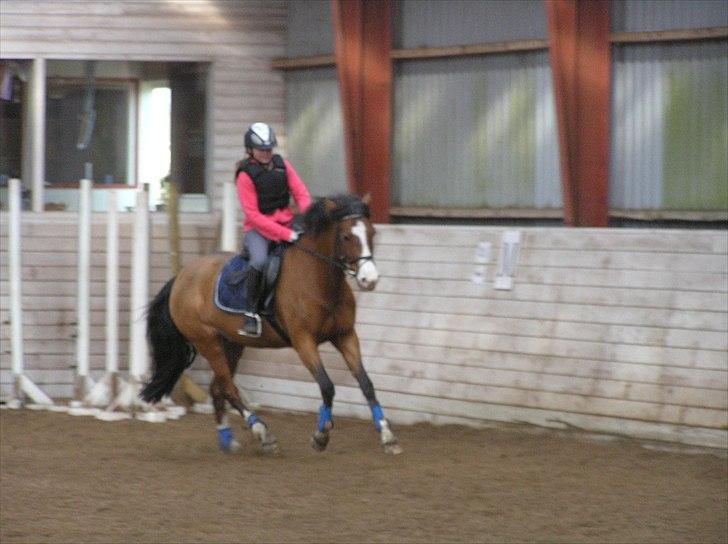 DSP Haahr's Fantasilie billede 20