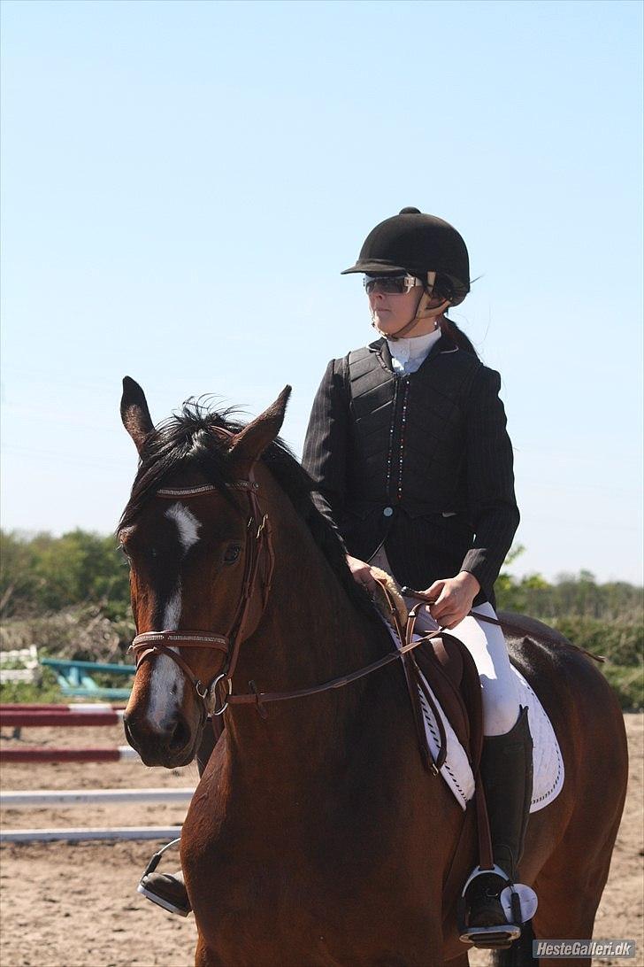 Dansk Varmblod Corona DEN SMUKKESTE STJERNE PÅ HIMLEN! :'( - Jeg vil altid elske dig min skat ! :'( billede 1