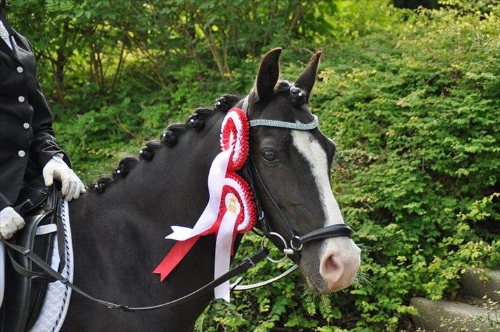 Anden særlig race Blue Eye´D Girl - A pony SOLGT! - 20. Mig og prut med vores rosetter efter at have vundet begge vores klasser til vores første distrikt stævne <3 billede 20