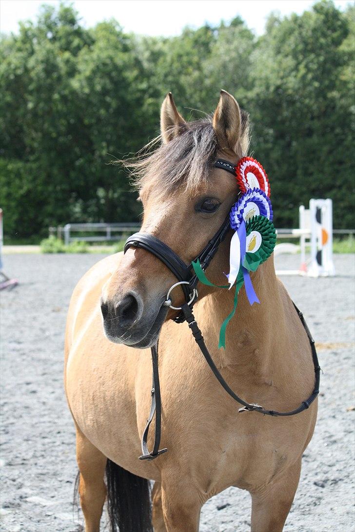 Anden særlig race Isabella<3 - Velkommen til Isabellas profil :) billede 1