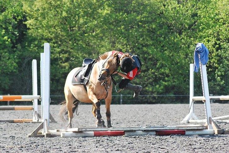 Anden særlig race Isabella<3 - Ja, vi kan også misforstå hinanden (; billede 31