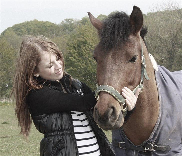 New Forest Lundgaards Kahlua - solgt :'( - Kahlua <3 billede 1