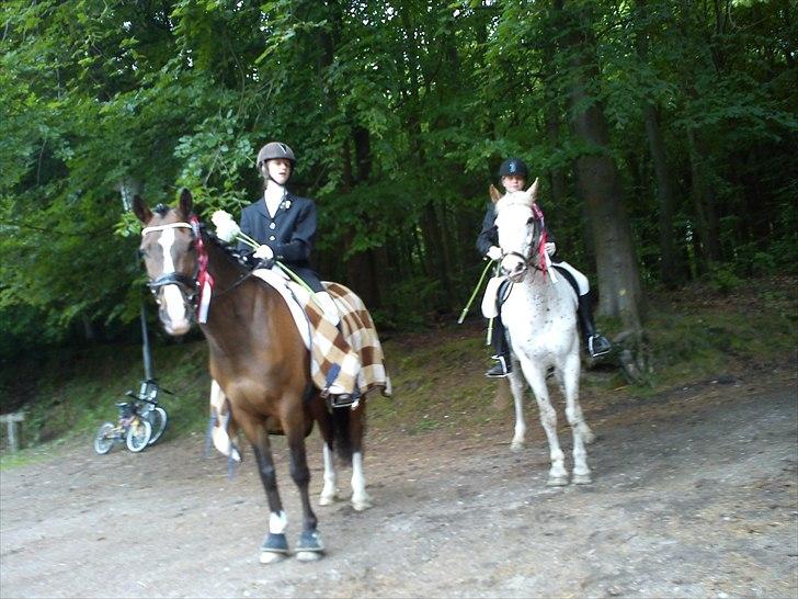 Anden særlig race ***Bastian*** - 1 plads trekløver cup billede 11