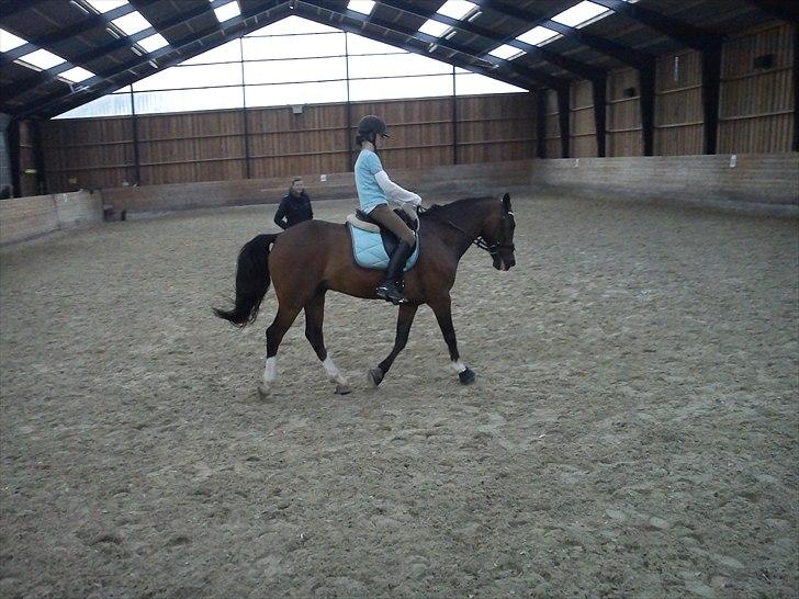 Anden særlig race ***Bastian*** - ude hved susanne barnow billede 14