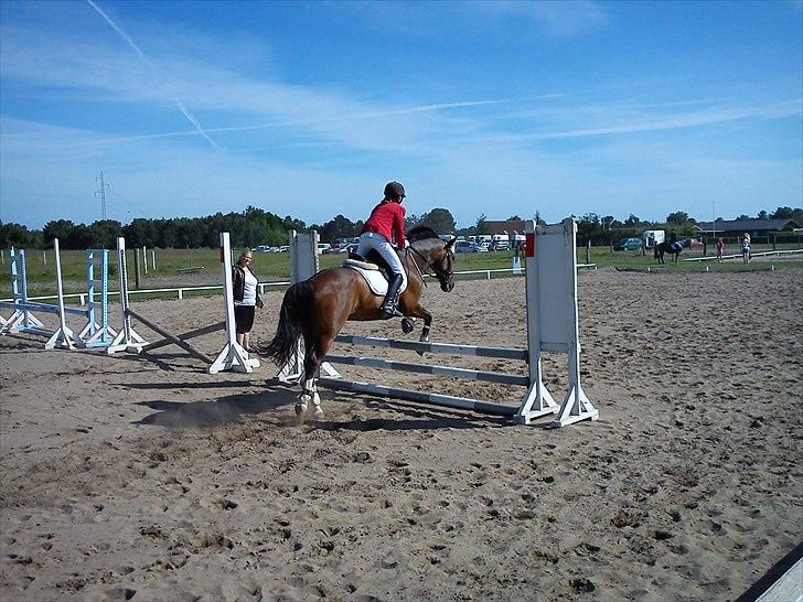 Anden særlig race ***Bastian*** - opvarmning til stævne hved farmland cup billede 15