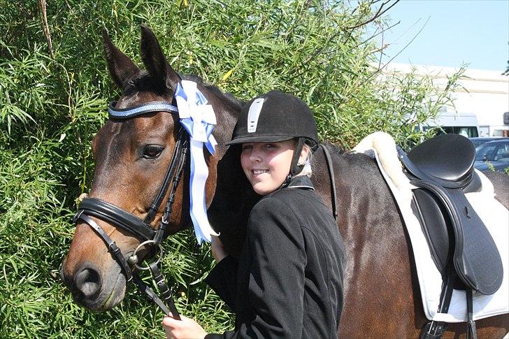 Anden særlig race May Piccolo *STJERNEHEST* billede 16