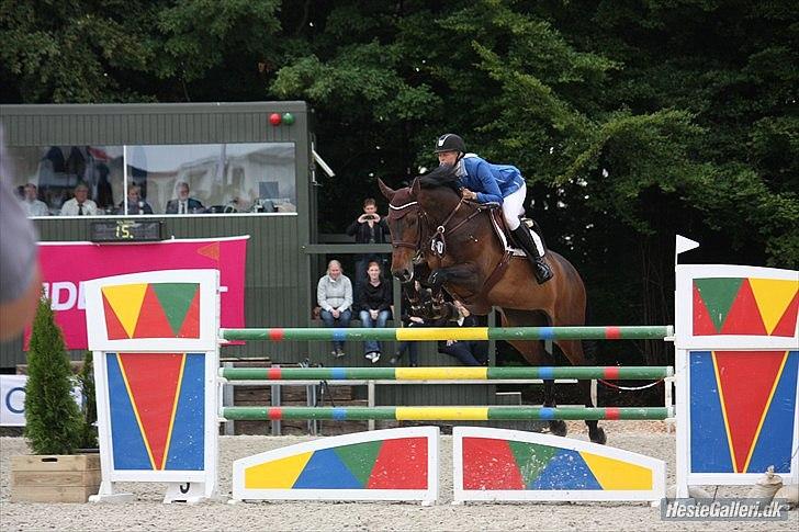 Dansk Varmblod Capri Sun - SOLGT - Til CSI** i Suså i Youngster Tur Finale (135),juni 11 billede 12