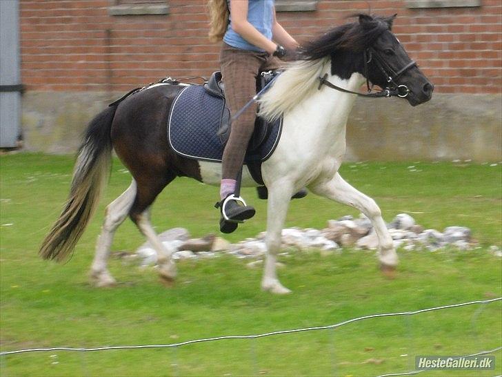 Anden særlig race Czami<3 billede 2