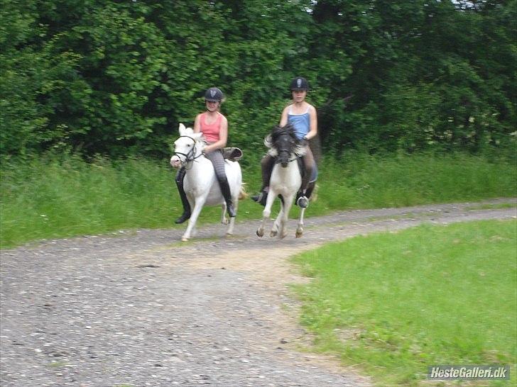 Anden særlig race Czami<3 billede 10