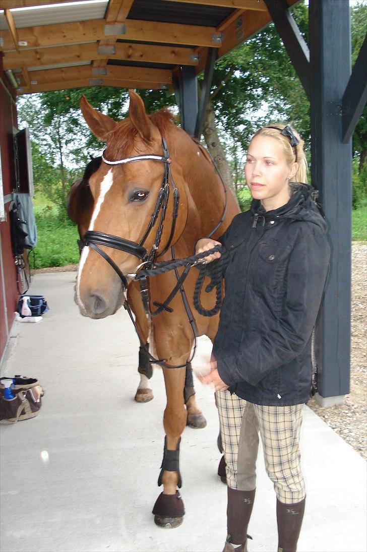 Hannoveraner | Werber Welt - Opsadelning... billede 16