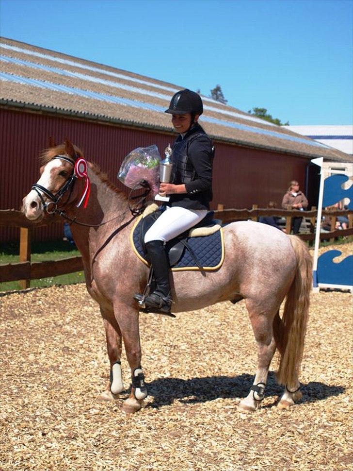 Anden særlig race Mario - Egensmester 2011 ;) billede 1