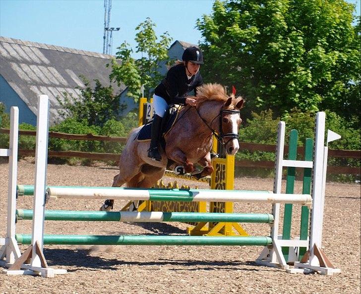 Anden særlig race Mario - Egensmesterskab 2011 1. plads :) billede 19