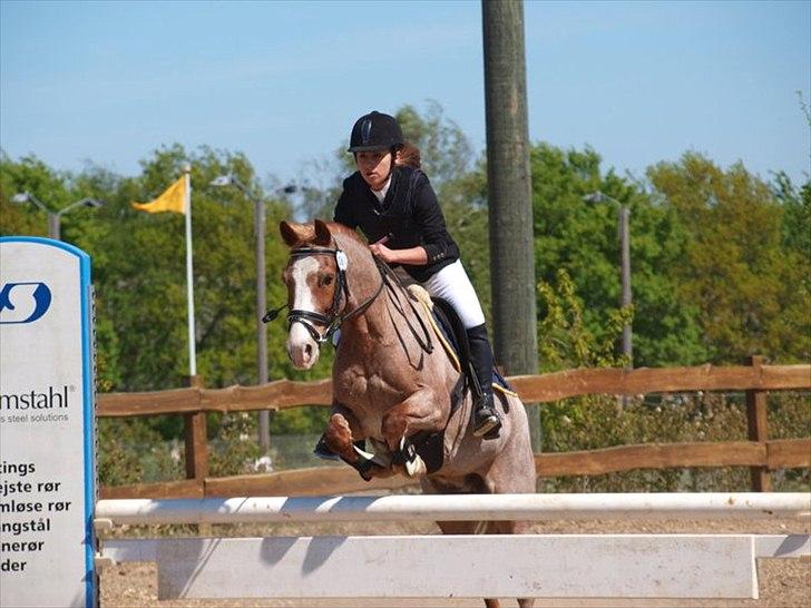 Anden særlig race Mario - Egensmesterskab 2011 :) billede 20