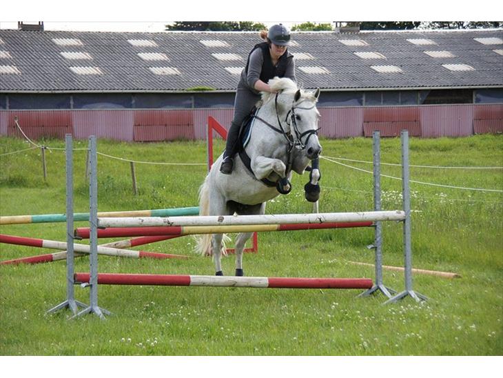 {{currentPhoto.altText}} billede {{currentPhoto.number}}