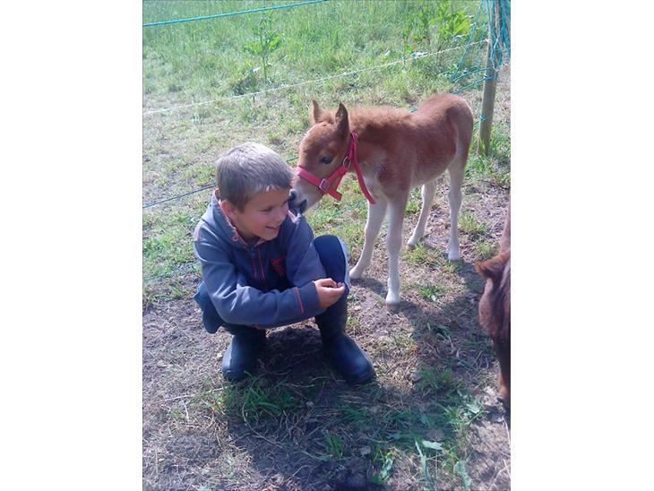 {{currentPhoto.altText}} billede {{currentPhoto.number}}