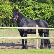 Frieser Kato (karin Van d' Oosteresch)