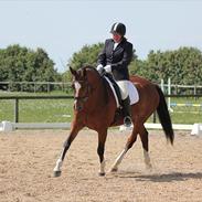 Holstener Valløs Lucky Mary