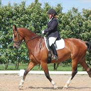 Holstener Valløs Lucky Mary