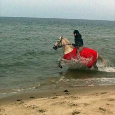 Connemara Philipstatt's Gaia, min soulmate