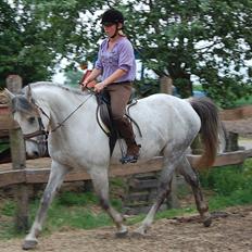 Anden særlig race Salimah