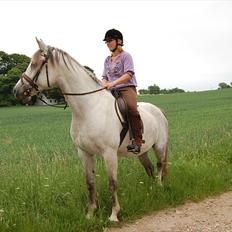 Anden særlig race Salimah