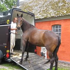 Traver Kentucky Place