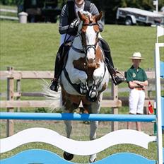 Anden særlig race Søborggårds Emphire