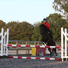Connemara Loftsome Equinox