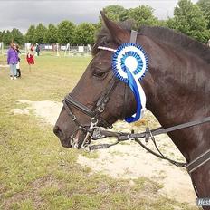 Anden særlig race Toxic Daisy <3 (SOLGT)
