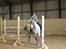 Welsh Pony (sec B) -Smilla - træning til pony lege