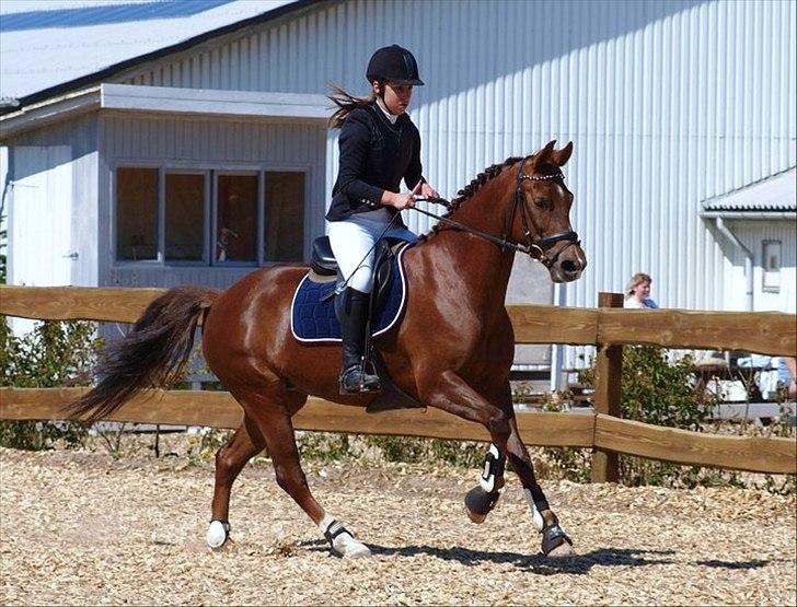 DSP Cirkeline billede 17