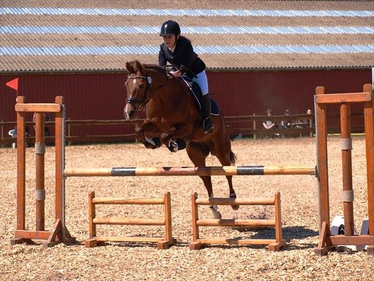 DSP Cirkeline billede 18