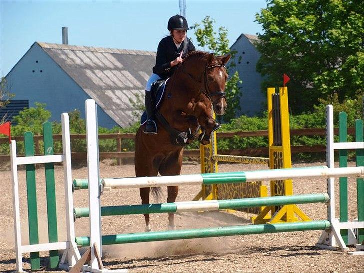 DSP Cirkeline billede 19