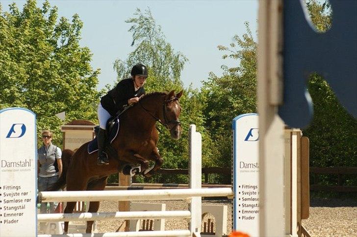 DSP Cirkeline billede 20