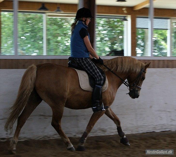 Anden særlig race Lukas! - Lukas og miig trav =) billede 15