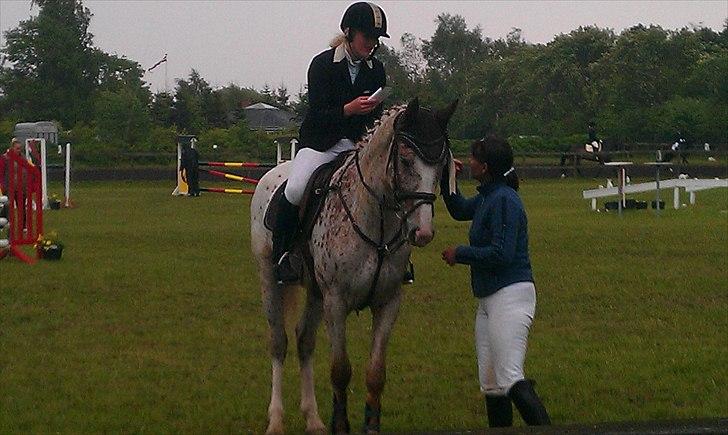 Anden særlig race Skonhøjs Murinho - Præmieoverrækkelse nr. 2 i DSA med 7,9 i karakter billede 10