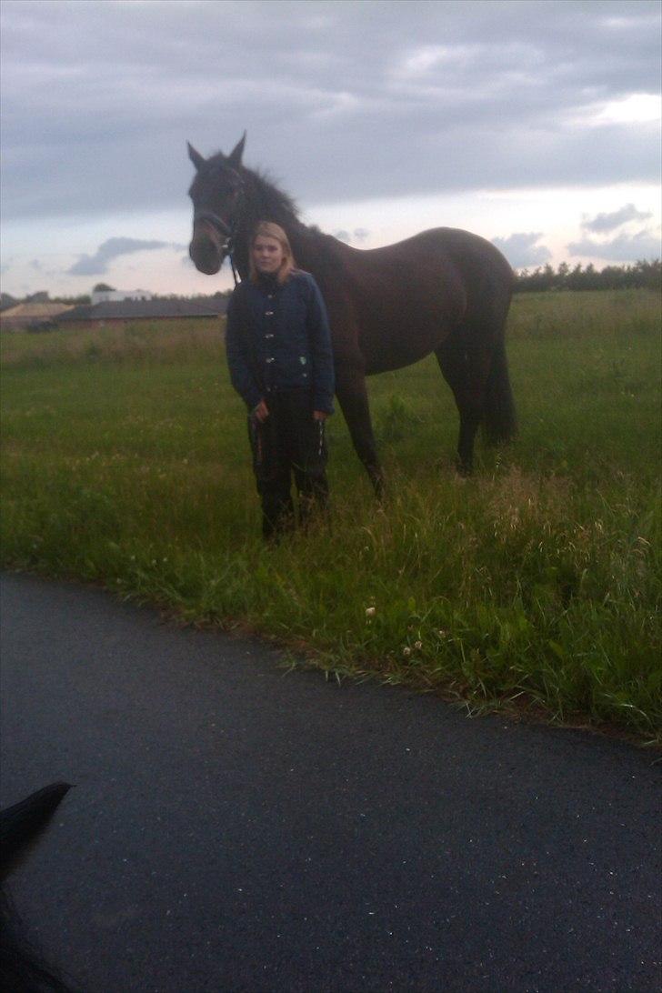Anden særlig race Gabby - en lille gå tur ude ved vejen men min dejlige hest <3 

elsker dig  billede 10